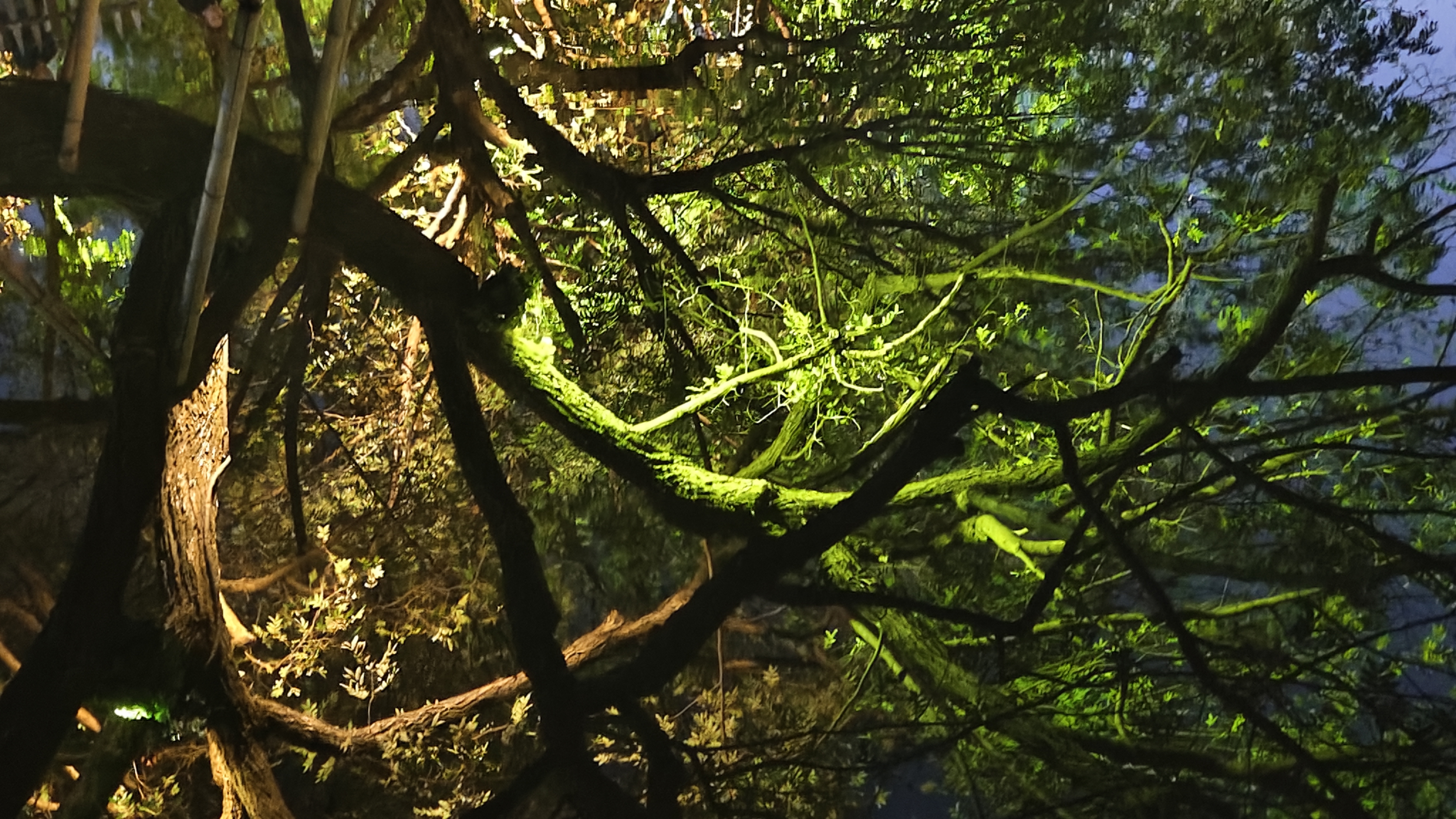 碧山村 宏村 旅游照片