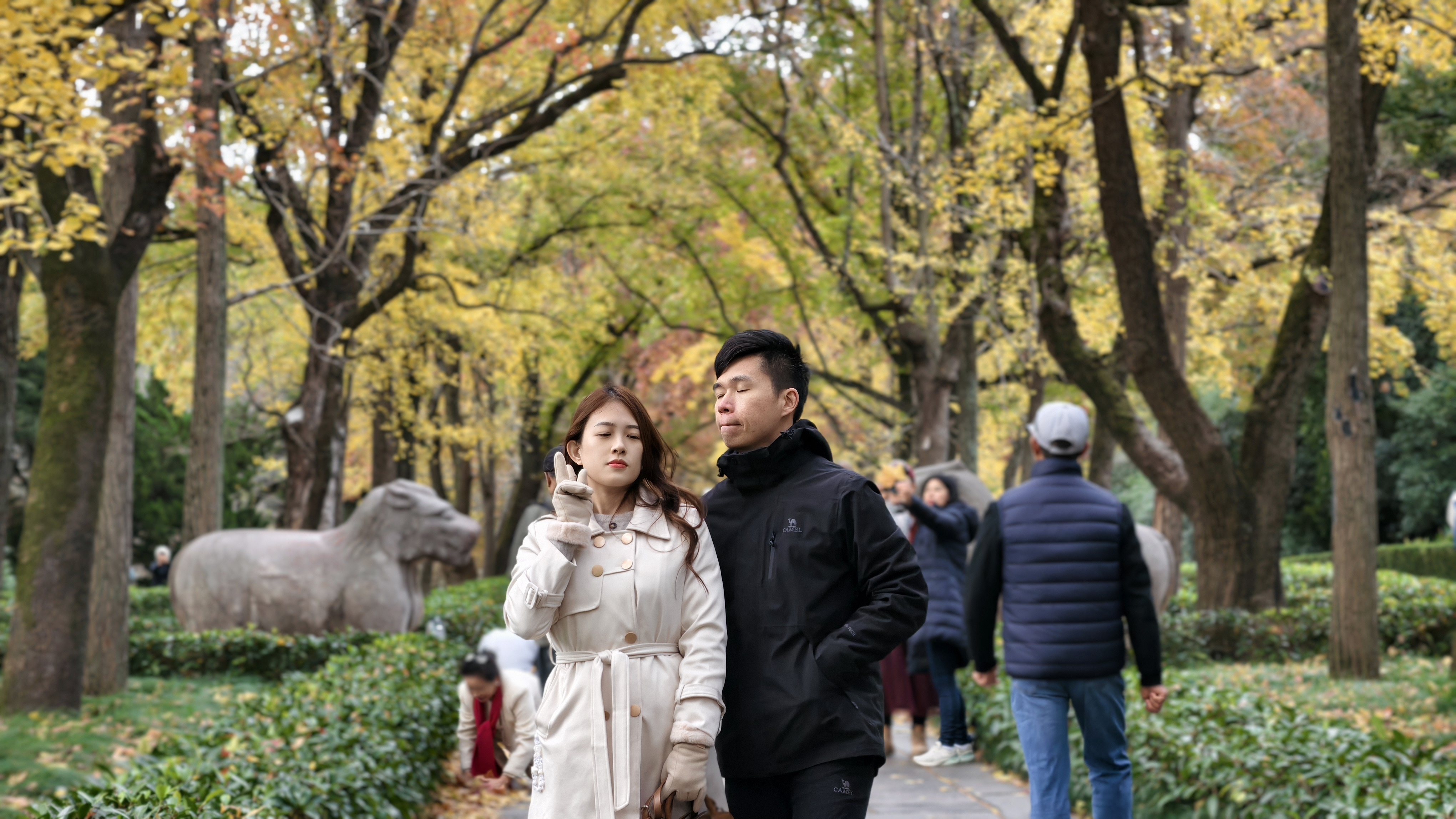 石象路 南京 旅游照片