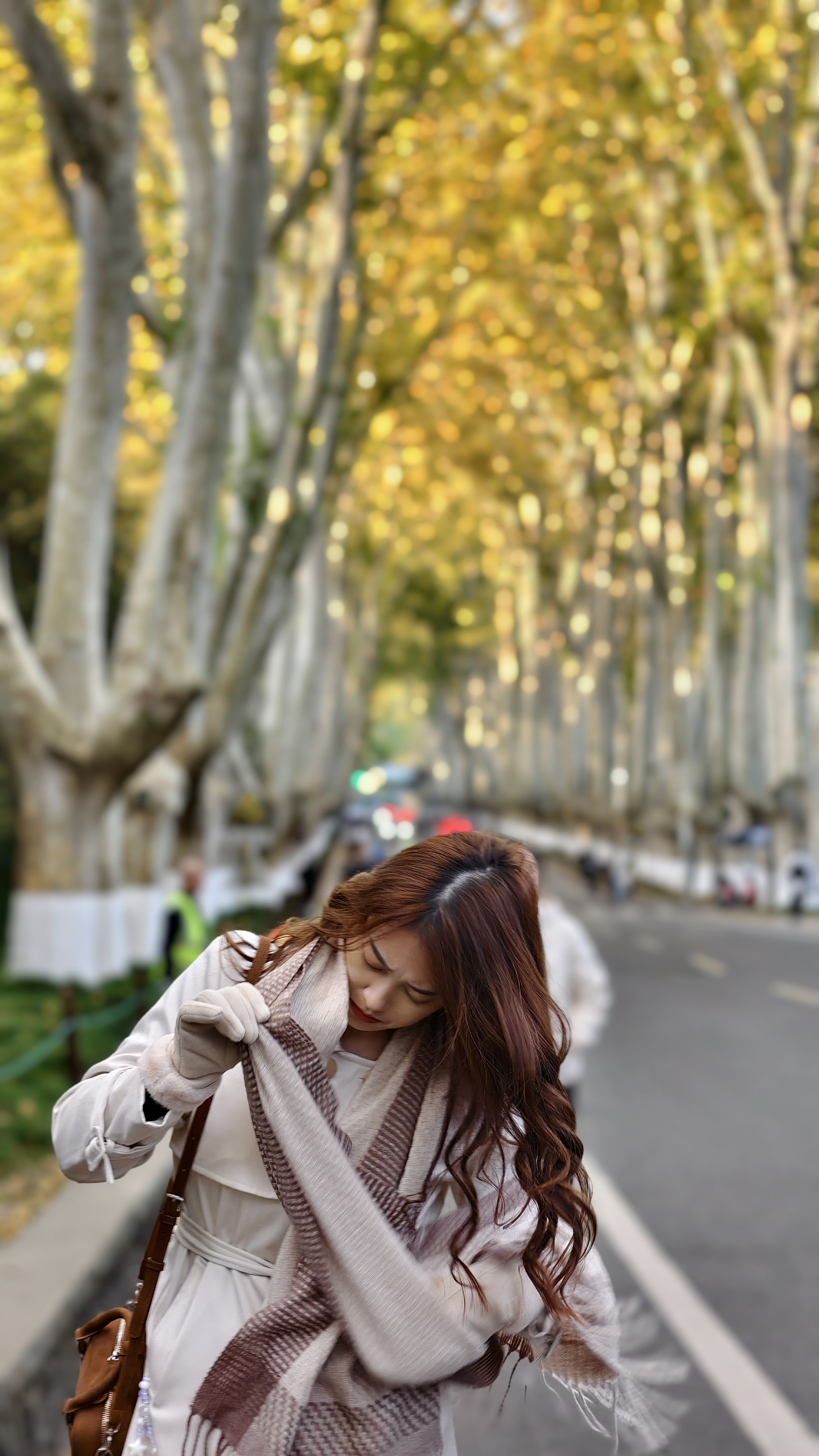 陵园路梧桐大道 南京 旅游照片